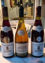 Lot wijn, Verzamelen, Ophalen of Verzenden, Zo goed als nieuw