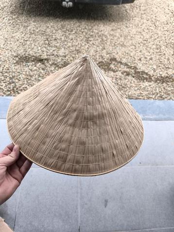 Chapeau chinois carnaval 10 pce 10 euros le lots beschikbaar voor biedingen
