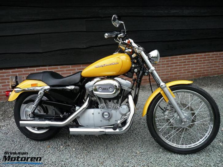 Super nette XL 883 C Sportster Custom / XL883, Motoren, Motoren | Harley-Davidson, Particulier, Chopper, meer dan 35 kW