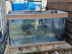 Aquarium 100lx40bx55h, Dieren en Toebehoren, Ophalen, Gebruikt, Leeg aquarium