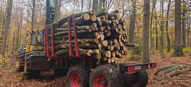 brandhout stammen, Tuin en Terras, Brandhout, Stammen, Beukenhout, 6 m³ of meer, Verzenden