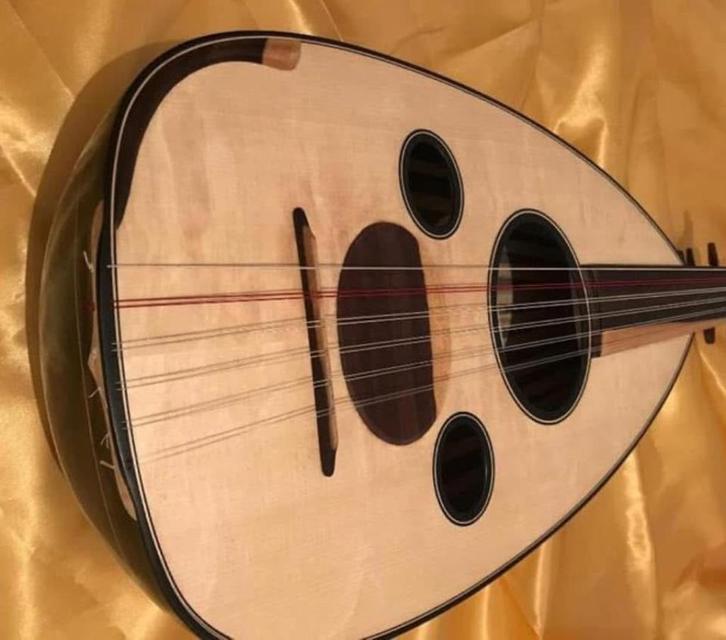 Professional Arabische oud, Musique & Instruments, Instruments à corde | Autre, Neuf, Luth, Saz ou Bouzouki, Enlèvement ou Envoi