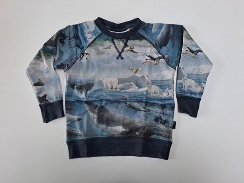 Mt 98 Dunne sweater met ijszeedieren, Kinderen en Baby's, Kinderkleding | Maat 98, Gebruikt, Jongen, Trui of Vest, Ophalen of Verzenden