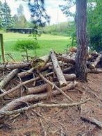 Brandhout, 3 à 6 m³, Enlèvement, Autres essences de bois, Troncs d'arbres