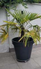 Grote zwarte bloempot 80 cm diameter bovenaan, op wielen., Jardin & Terrasse, Plantes | Jardin, Enlèvement