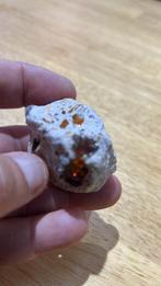 Australisch vuuropaal, Ophalen of Verzenden