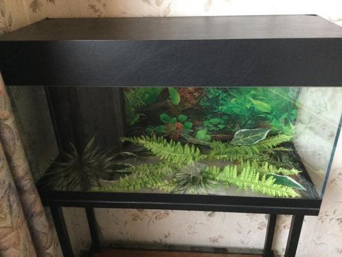 AQUARIUM, Dieren en Toebehoren, Vissen | Aquaria en Toebehoren, Zo goed als nieuw