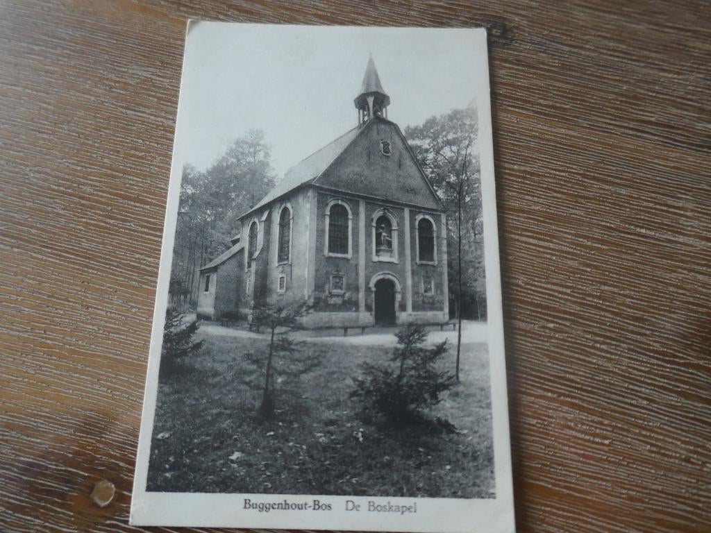 buggenhout-bos de boskapel, Verzamelen, Postkaarten | België, Verzenden, Ongelopen, Oost-Vlaanderen