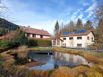 Hautes Vosges tussen Gérardmer en La Bresse  beschikbaar voor biedingen