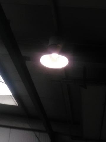 Lampes cloches 250W industrielles beschikbaar voor biedingen