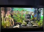 Aquarium met toebehoren en vissen, Dieren en Toebehoren, Ophalen, Zo goed als nieuw