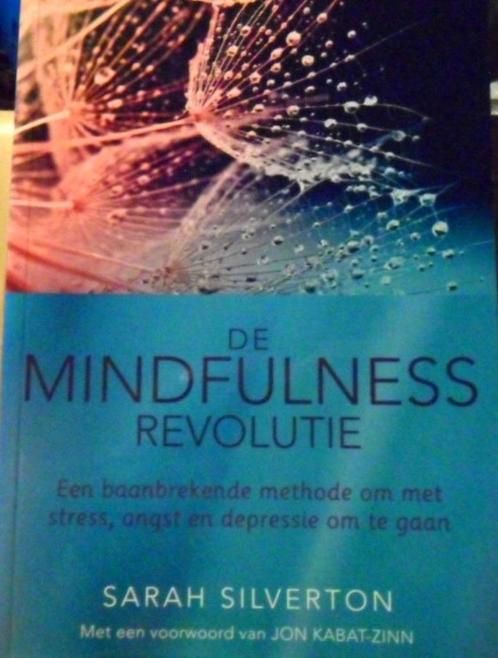 De mindfulness revolutie, Sarah Silverton, Boeken, Esoterie en Spiritualiteit, Zo goed als nieuw, Ophalen of Verzenden