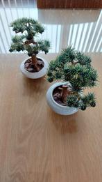 Bonsai boompjes., Comme neuf, Enlèvement