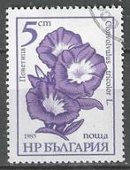 Bulgarije 1985 - Yvert 2955 - Convolvulus tricolor (ST), Postzegels en Munten, Postzegels | Europa | Overig, Verzenden, Bulgarije
