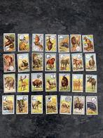 28 plaatjes Kwatta Zoölogie, Ophalen of Verzenden