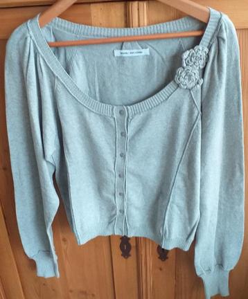 vestje bruno antognini, Kleding | Dames, Maat 46/48 (XL) of groter, Nieuw, Ophalen of Verzenden, Grijs