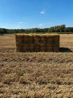 Kleine balen stro te koop