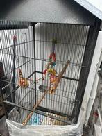 Grote buitenvolière voor vogels, Ophalen, Zo goed als nieuw, Metaal, Volière
