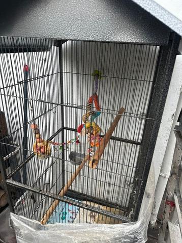 Grote buitenvolière voor vogels beschikbaar voor biedingen