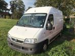 Fiat Ducato, Auto's, Bestelwagens en Lichte vracht, Diesel, Particulier, Te koop, Fiat