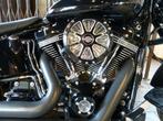 Harley-Davidson SOFTAIL FLSS SLIM S (bj 2016), Motoren, Bedrijf, 1802 cc, Cruise Control, Meer dan 35 kW