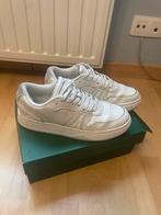 Chaussure Lacoste blanche taille 42, Sneakers, Gedragen, Lacoste, Wit