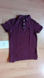 S Superdry bordeaux polo, Kleding | Heren, Ophalen of Verzenden, Gedragen, Rood, Maat 46 (S) of kleiner
