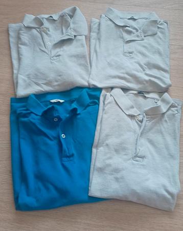 polo's XXL  beschikbaar voor biedingen