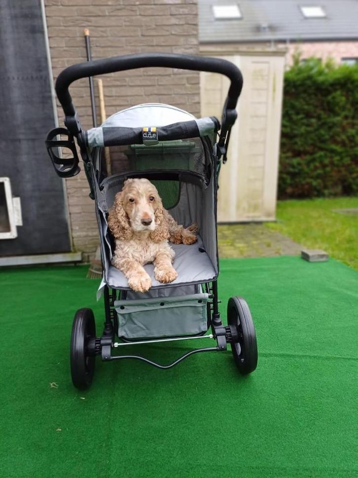 Hondenbuggy, Dieren en Toebehoren, Honden-accessoires, Gebruikt, Ophalen