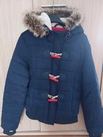 Winterjas Superdry,  maat L, Enlèvement ou Envoi, Taille 42/44 (L)