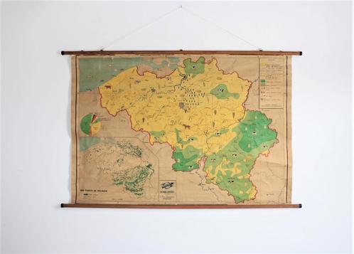 ancienne carte scolaire: agriculture et forêts de Belgique, Antiquités & Art, Antiquités | Cartes scolaires, Géographie, Enlèvement ou Envoi