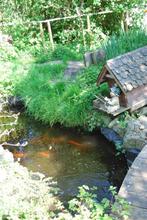 Gratis inhoud van een vijver, Tuin en Terras, Vijvers, Ophalen