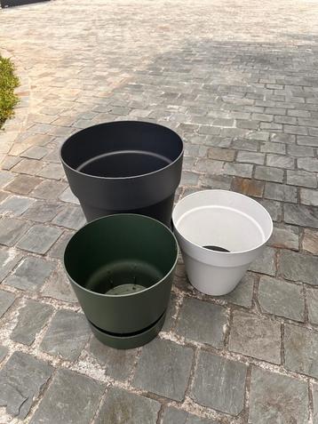3 bloempotten beschikbaar voor biedingen