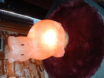 Prachtige zoutlamp (uil), Enlèvement, Neuf