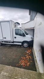 Iveco 35c12 frigorifique, Entreprise, Achat, Iveco