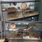 Gerbilkooi met schuifruiten – Gerbilarium / gerbil terrarium, Dieren en Toebehoren, Knaagdieren en Konijnen | Hokken en Kooien