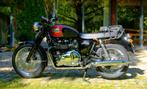 Triumph Bonneville T100, Motoren, Motoren | Triumph, 2 cilinders, Motorrijbewijs A, 900 cc, Particulier