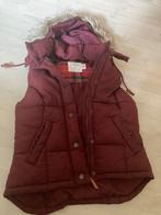 Gratis bodywarmer maat 34, Ophalen of Verzenden, Gedragen, Maat 34 (XS) of kleiner