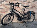 Speedpedelec Gazelle Cityzen maat 53 (medium), Ophalen, Zo goed als nieuw, 51 tot 55 cm, 50 km per accu of meer