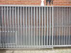 honden ren, Ophalen, Hondenkennel, 100 cm of meer, 110 cm of meer