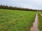 Weiland/ landbouwgrond te koop in Zepperen, Immo, Gronden en Bouwgronden