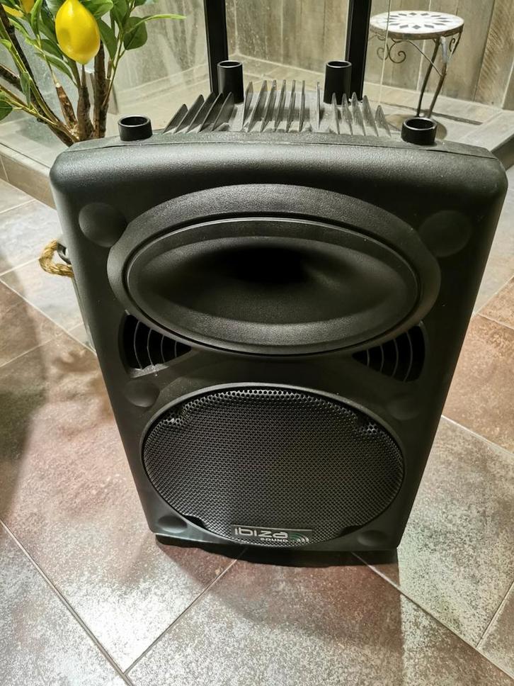 IBIZA Port 12 vhf-bt luidspreker met 2 karaokemicrofoons, Audio, Tv en Foto, Karaoke-apparatuur, Zo goed als nieuw, Microfoon(s)