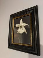 Kader met bloem, Huis en Inrichting, Ophalen of Verzenden