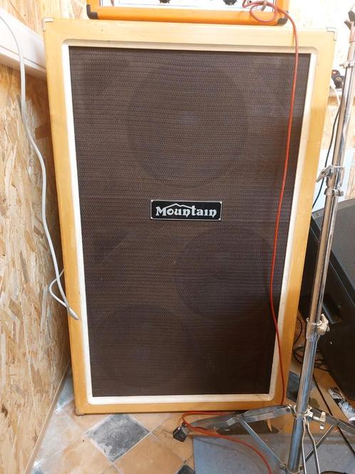 Mountain 3x15 cab, Muziek en Instrumenten, Versterkers | Bas en Gitaar, Gebruikt, Ophalen