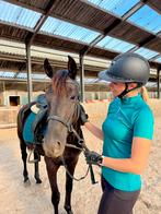 Top brave D pony merrie, Merrie, D pony (1.37m tot 1.48m), Gechipt, 3 tot 6 jaar