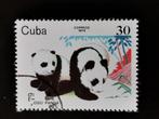 Cuba 1979 - panda, Postzegels en Munten, Ophalen of Verzenden, Gestempeld, Dier of Natuur
