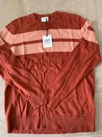 Nieuwe Heren Pull Terre Bleue maat XL, Ophalen of Verzenden, Maat 56/58 (XL)