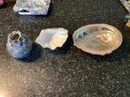 2 schelpen en vaasje, Ophalen of Verzenden, Schelp(en)