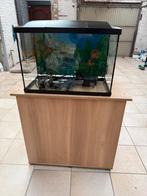 Aquarium + aquariummeubel, Ophalen, Zo goed als nieuw