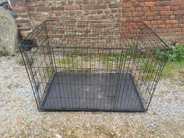 Cage chien XXL  beschikbaar voor biedingen